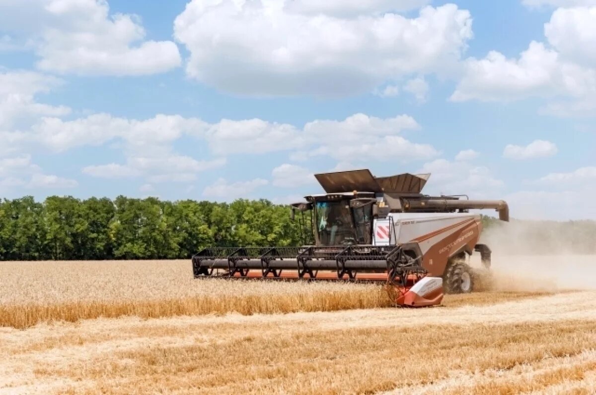    В Ростовской области увеличат финансирование аграриев и сельских территорий