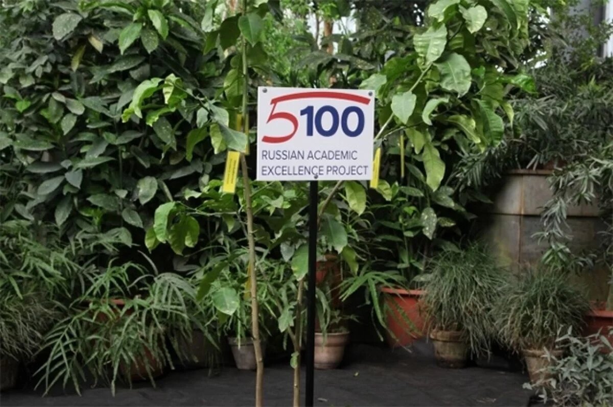    Дерево с пятью сортами.