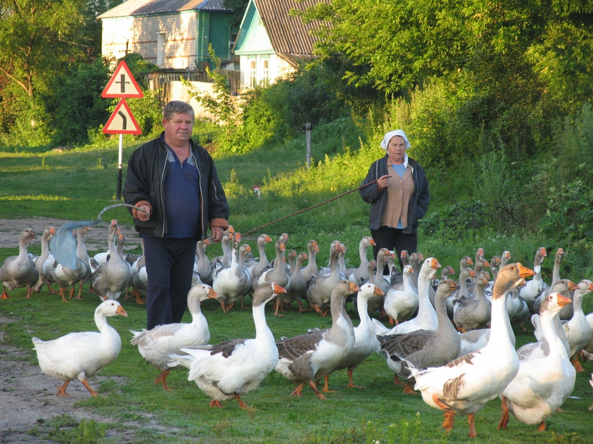 Фото: © Anvar Galeev/ Russian Look/ Global Look Press 