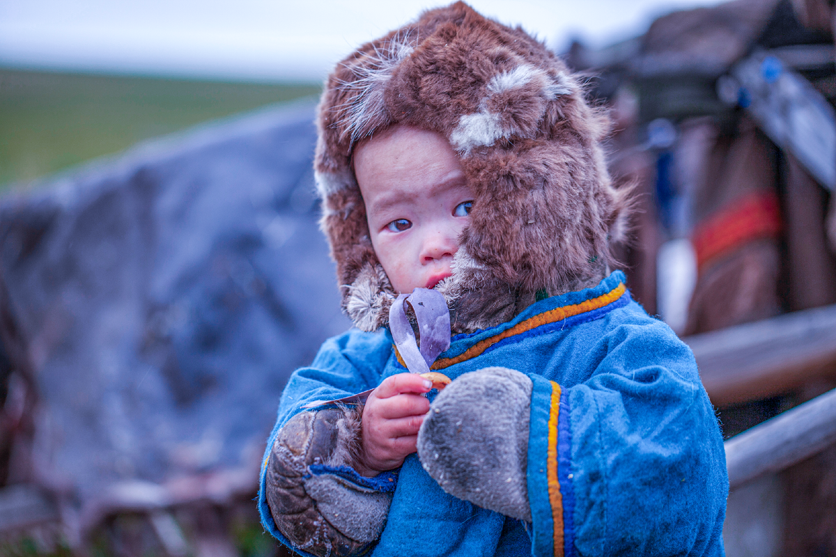 Фото: evgenii mitroshin/Shutterstock/Fotodom