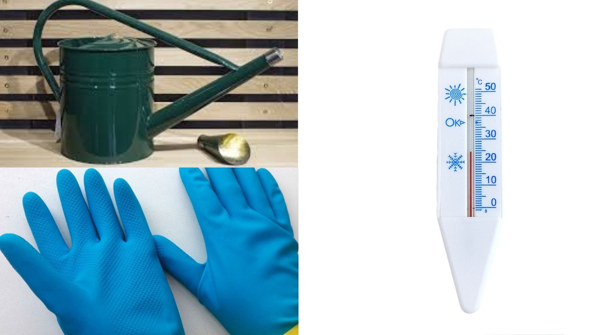 Набор инструментов для безопасной весенней обработки растений