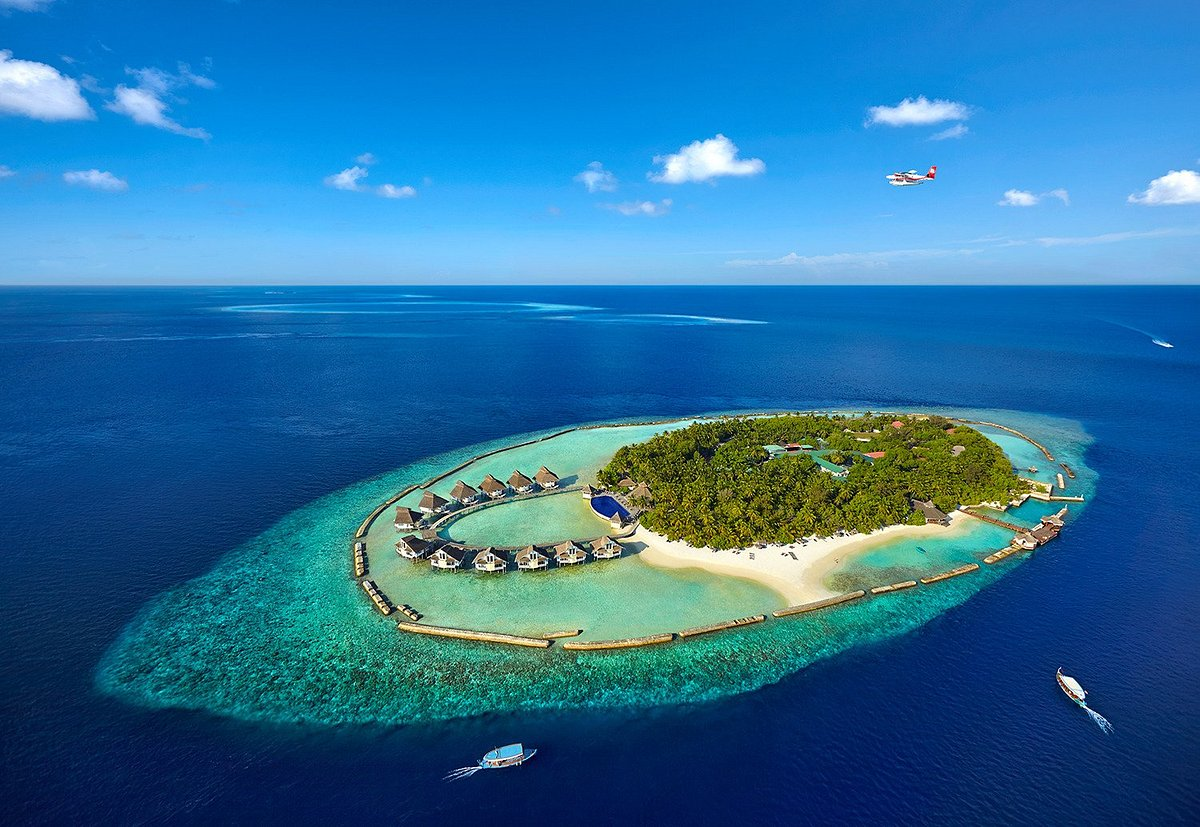 Ellaidhoo Maldives By Cinnamon. Взято из открытых источников сети интернет.