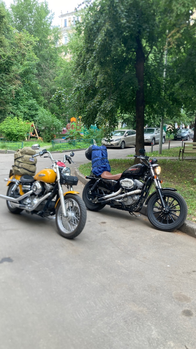 Навьюченные кони, готовые к дороге – вот какая семейная картина меня устраивает больше всего. А не застолья и обнимашки. 