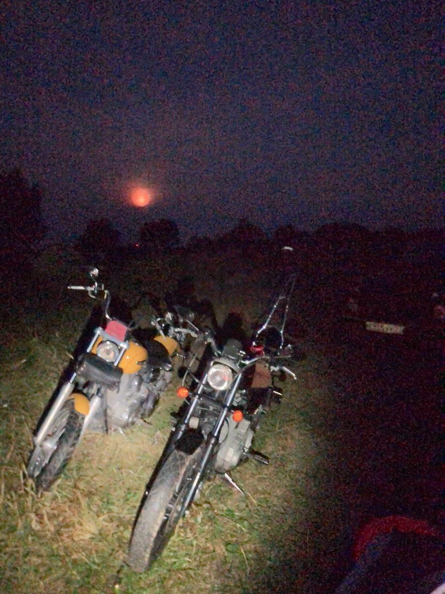 Где-то нигде. Выглядываю из палатки в ночи. 