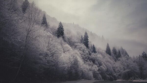    © Sputnik / Natalia Airiyan