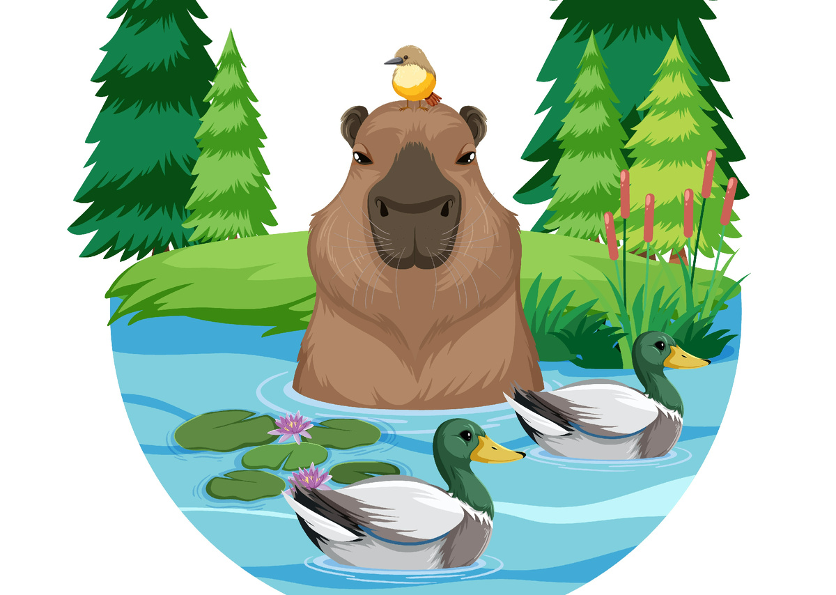 Релакс бобра