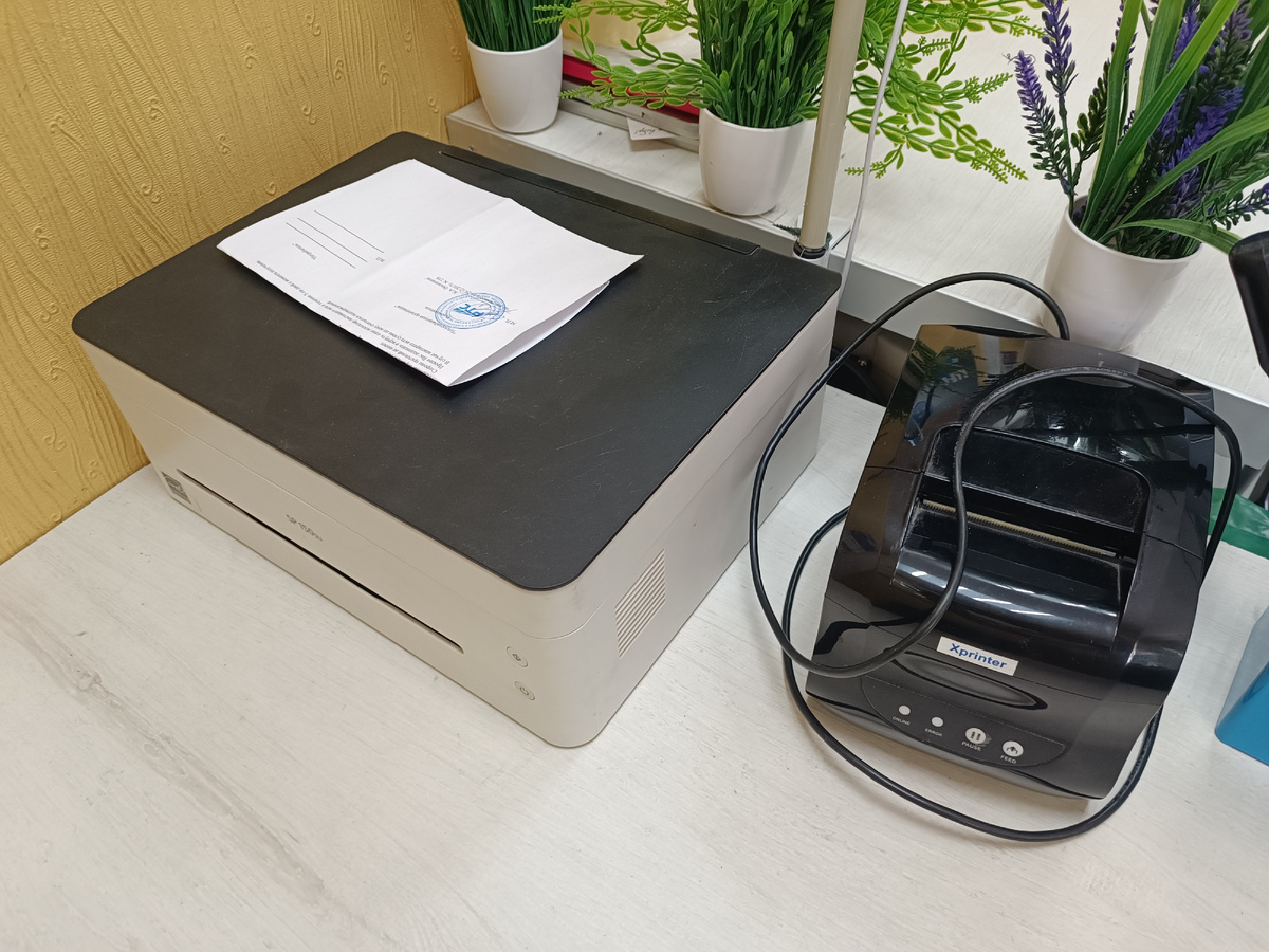 Стоят дружно в ряд😍