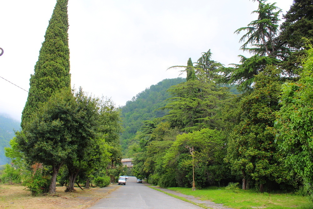 Абхазия май