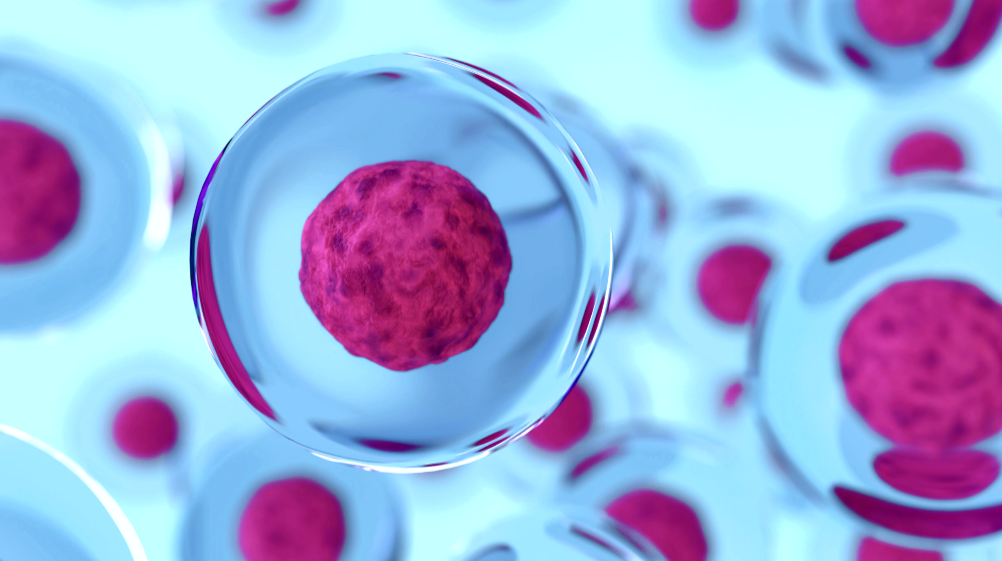 Изображение стволовых клеток для оформления статьи