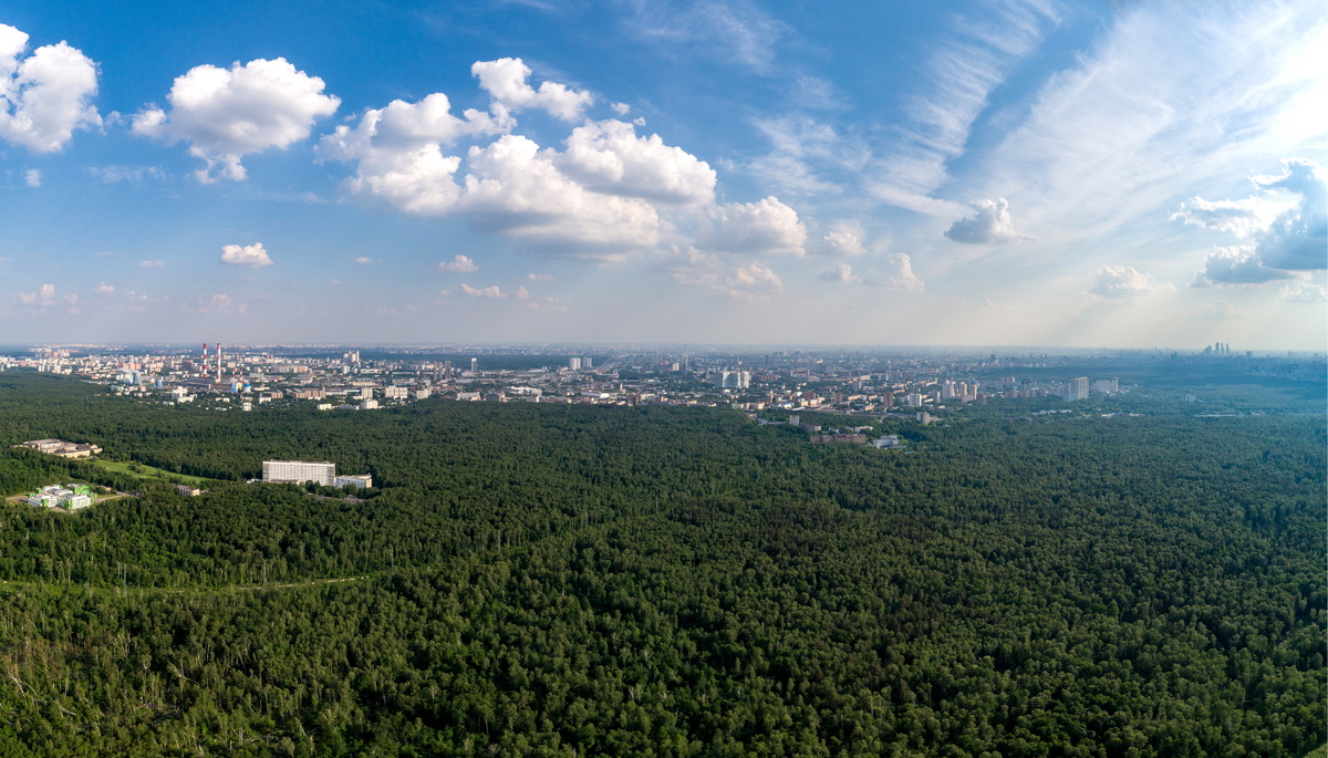    Источник: Дмитрий Серебряков/ТАСС