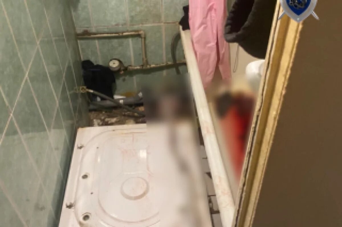    За убийство новорожденной дочери жительнице Кстова дали 4 года колонии