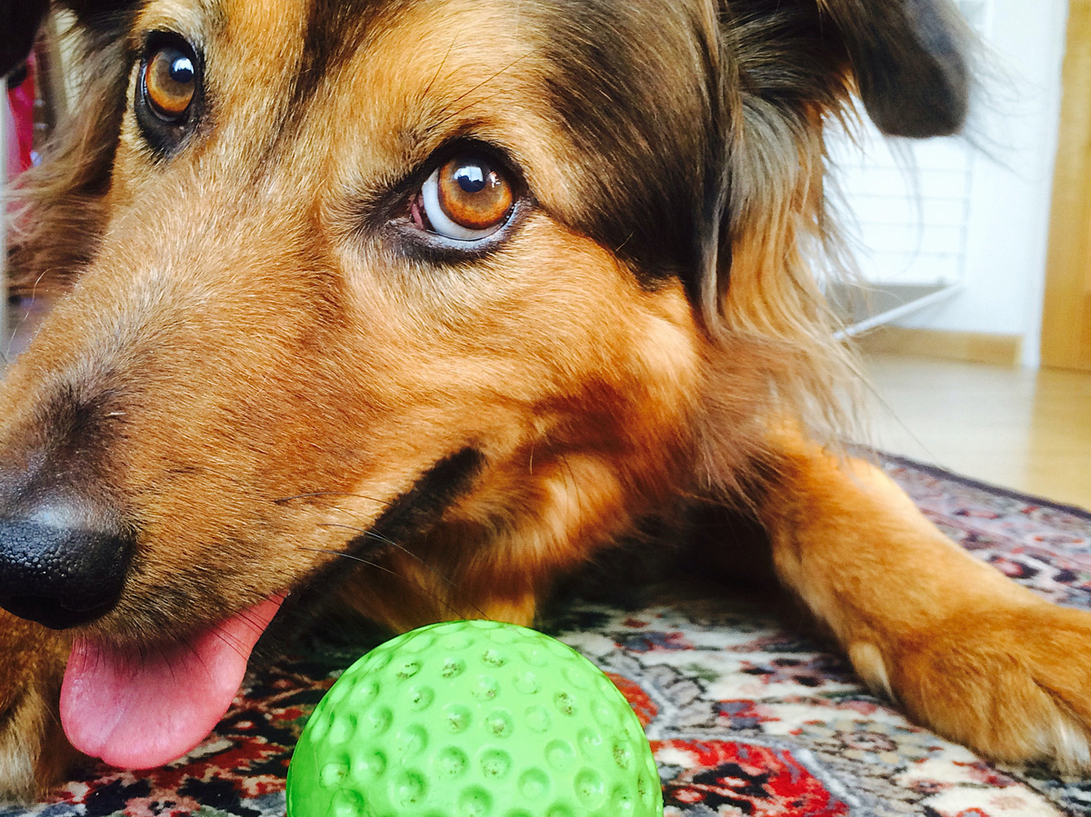 cgerull, CC BY-NC-ND 2.0