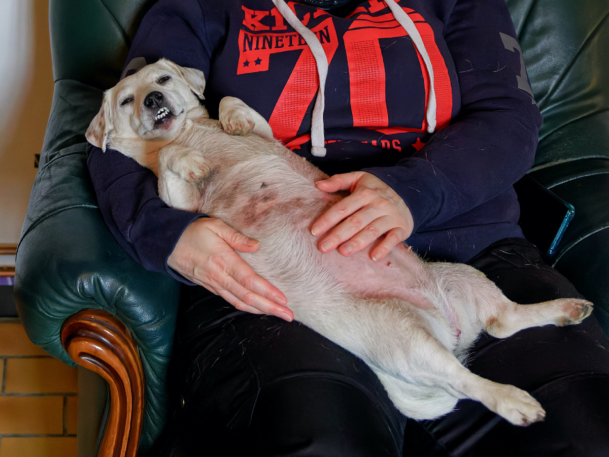 miguel_discart, CC BY-SA 2.0