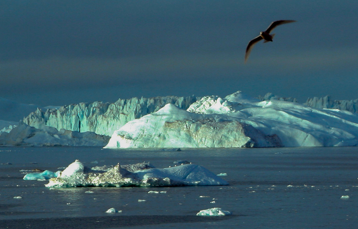 Гренландия. Фото: Вадим Кантор / GeoPhoto