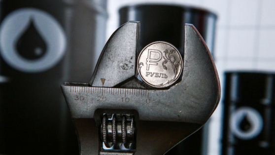    Минфин ожидает 101,2 миллиарда рублей нефтегазовых допдоходов бюджета в феврале Богдан Герцен