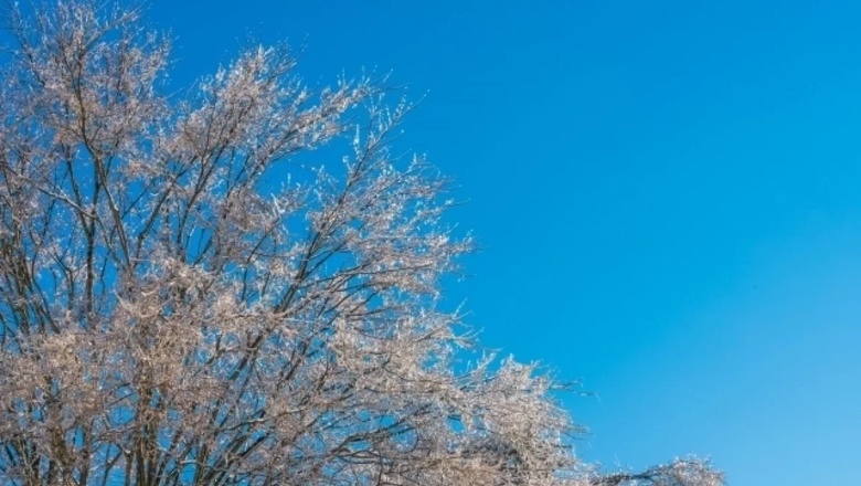 Источник: Freepik