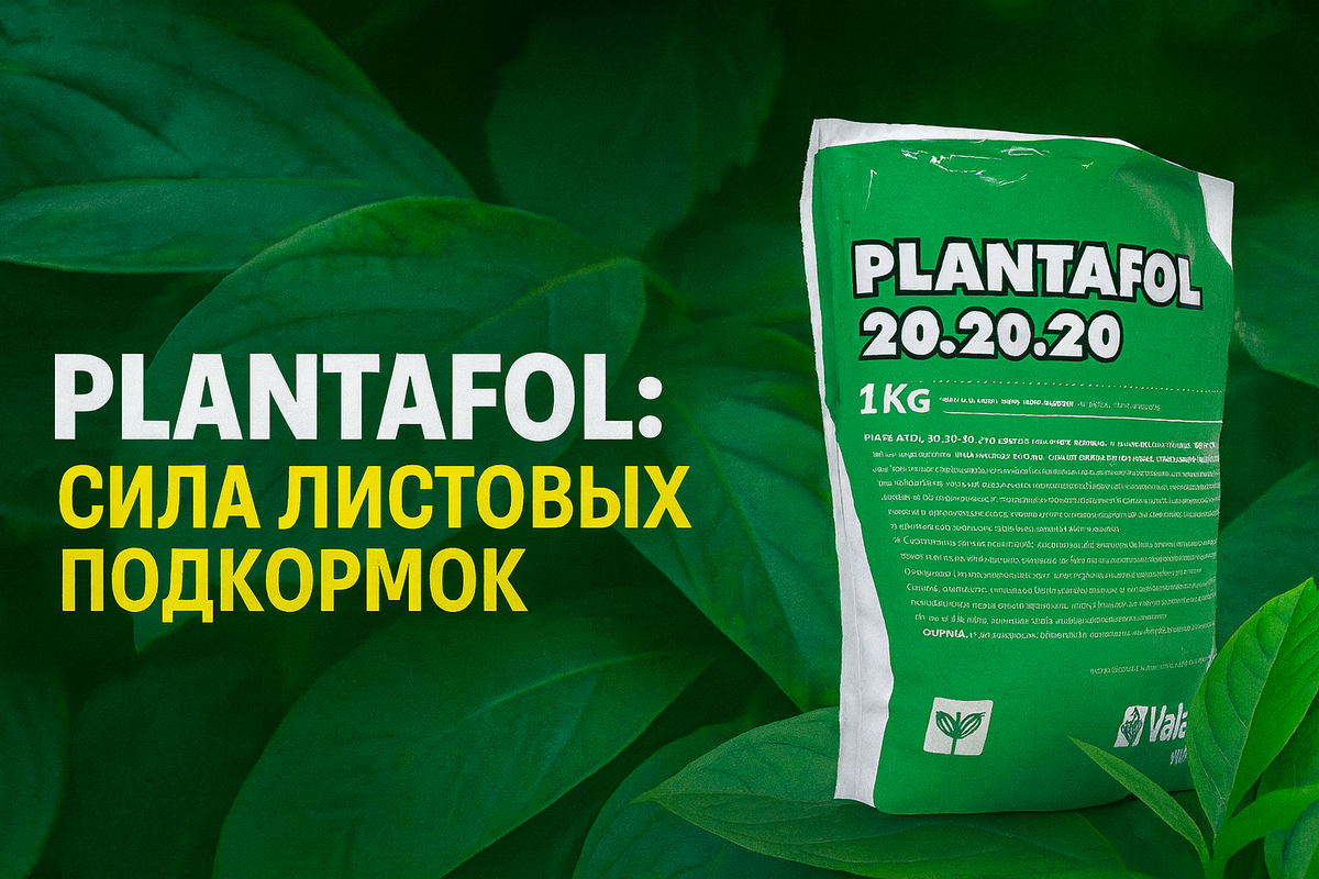 Журнал садовода. dzen.ru/sadovodjournal