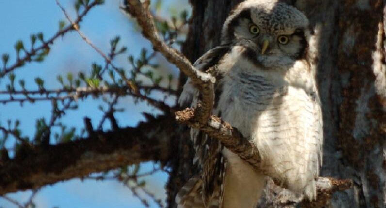    Фото ПФ "Верховье"