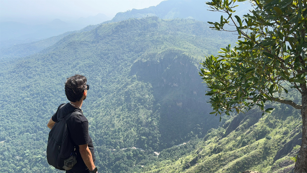 Смотрю на густые леса Эллы, а пиявки смотрят на меня)