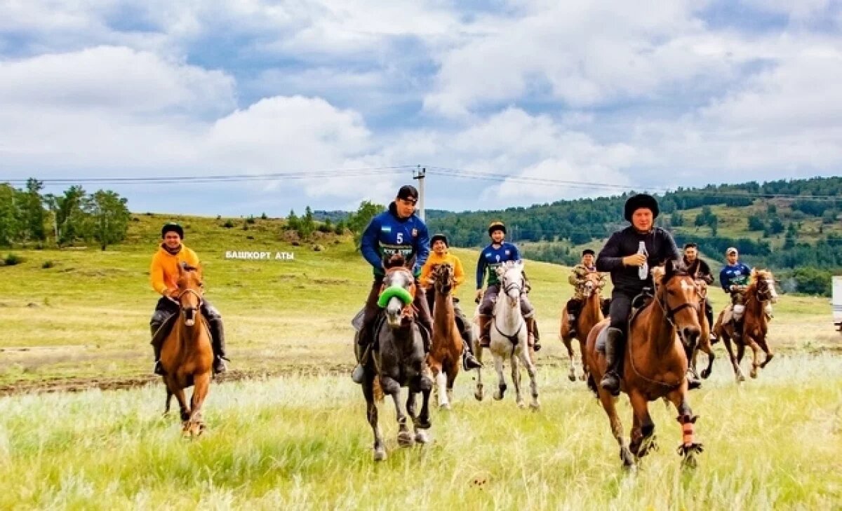    Депутаты Башкирии планируют признать национальным наследием мед и язык