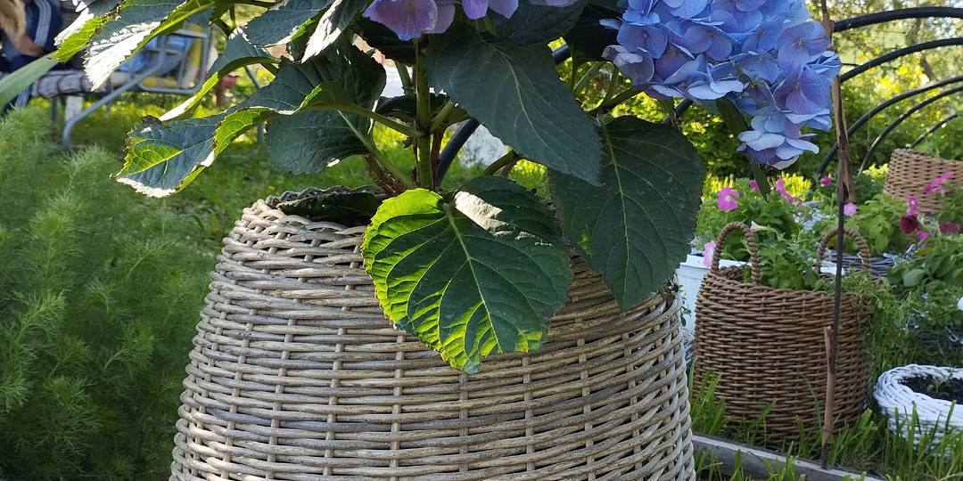 Кашпо-капля из ротанга