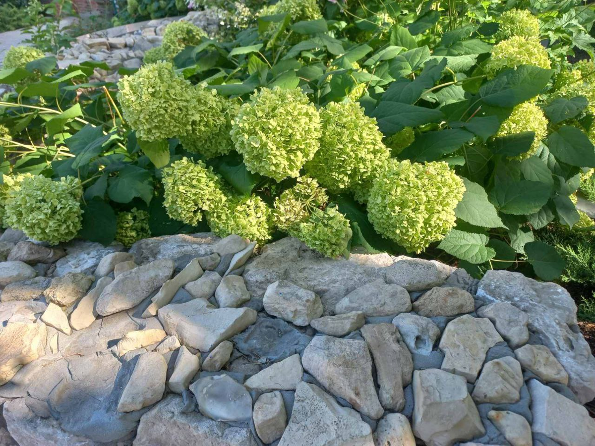 Фото автора.