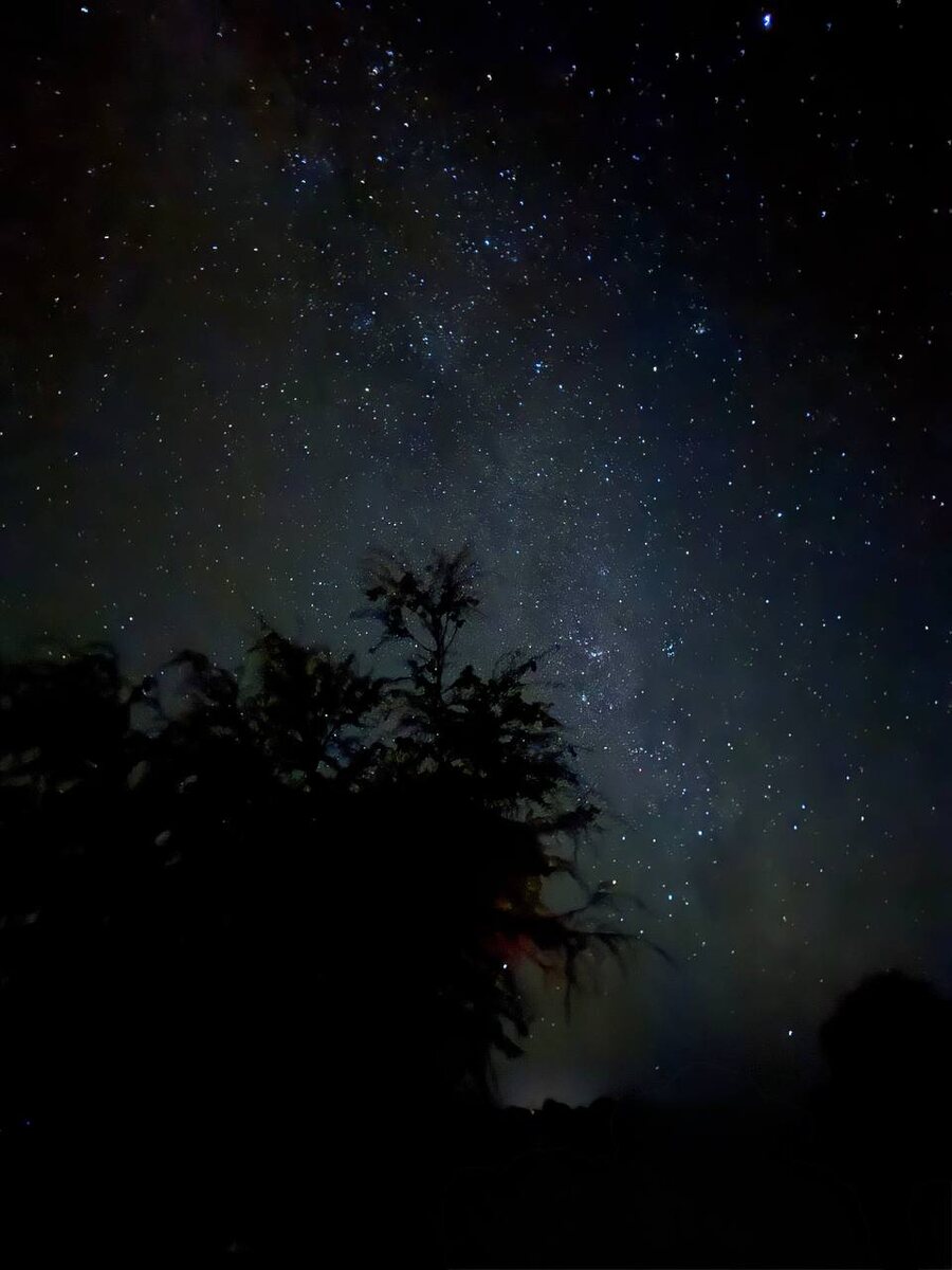 Фото снято на айфон