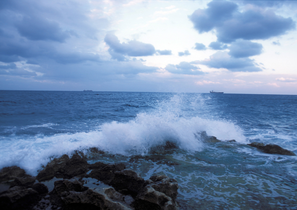 © Viktor Gritsuk Russian Look/Globallookpress
© Viktor Gritsuk Russian Look/Globallookpress
