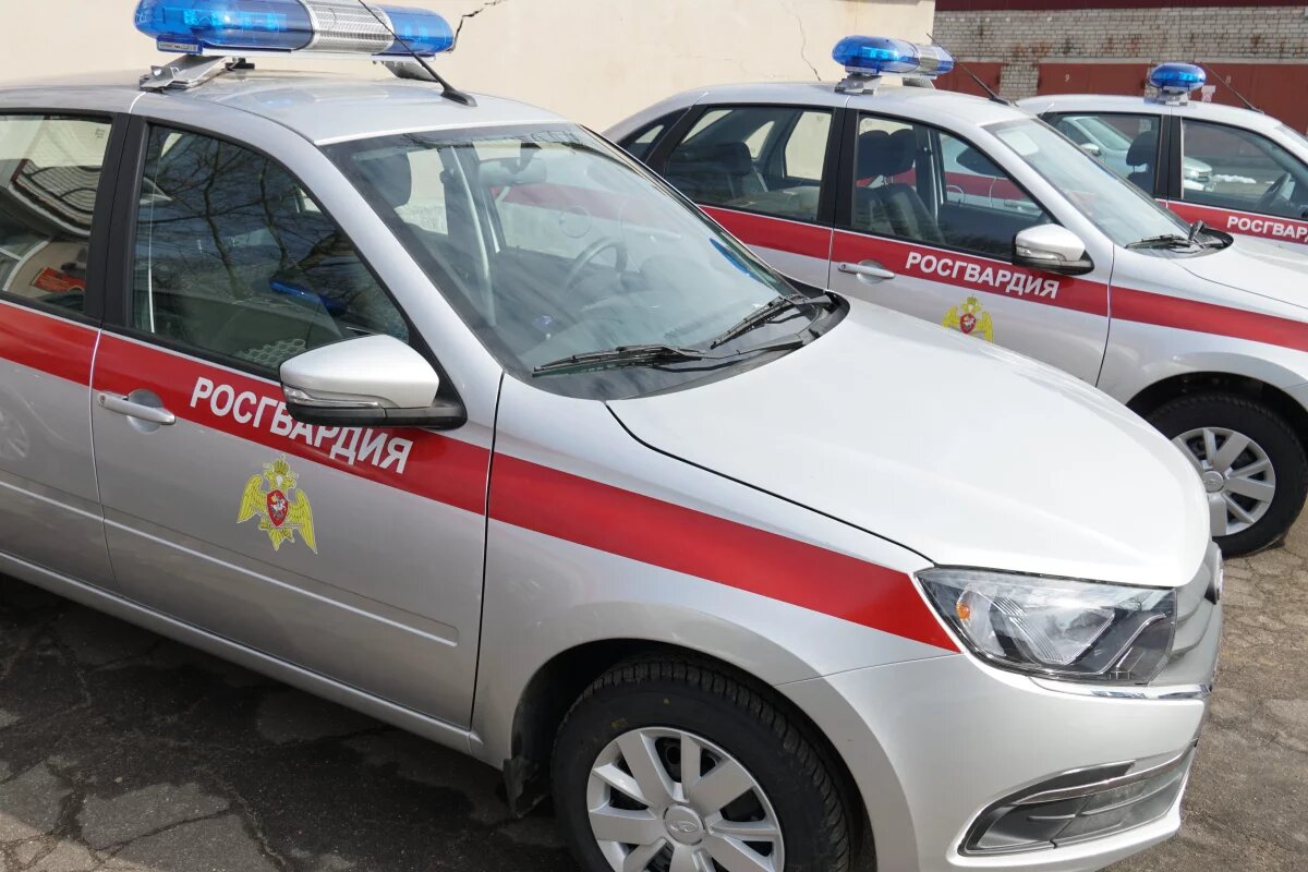    В Острове пенсионер ударил ножом в живот знакомого