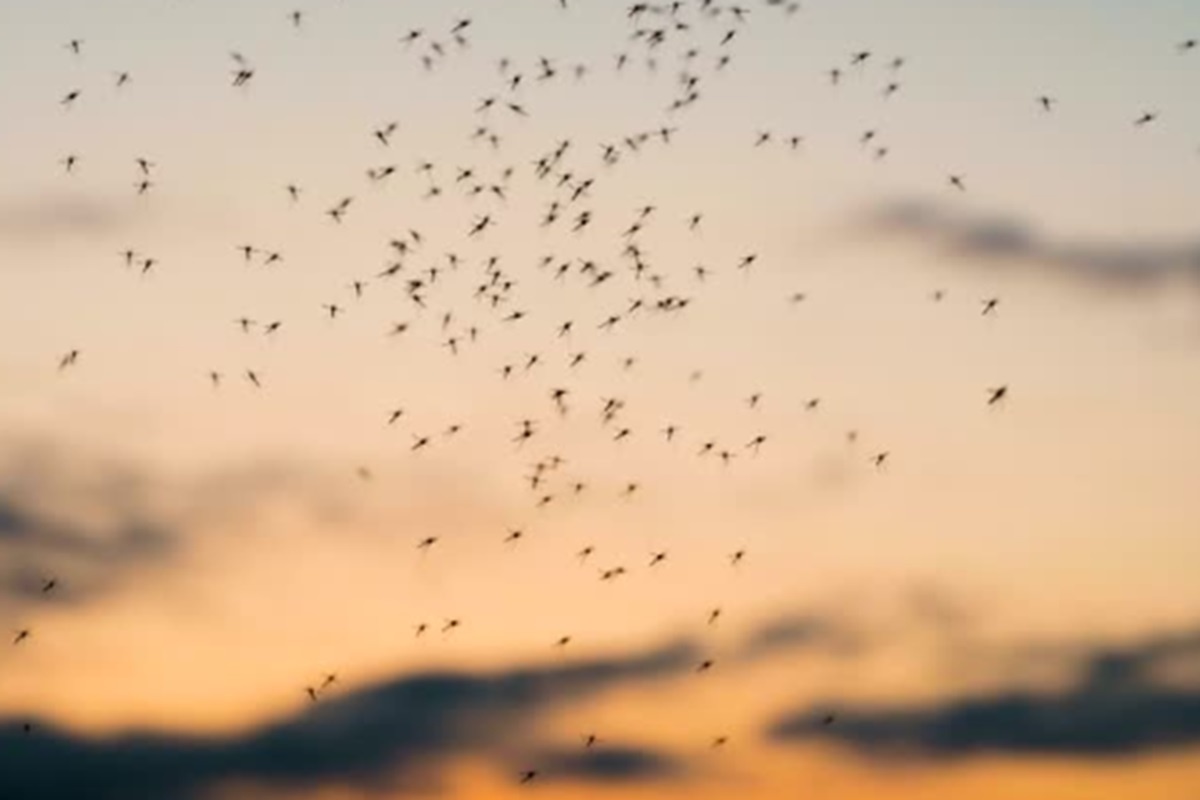 Фото: istockphoto.com
