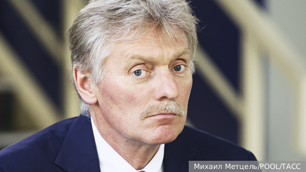     Фото: Михаил Метцель/POOL/ТАСС   
 Текст: Елизавета Шишкова