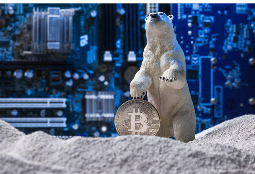 Что такое крипто-зима и как её пережить?