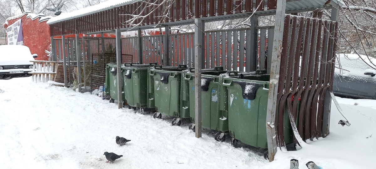    Фото: Дмитрий Павлов