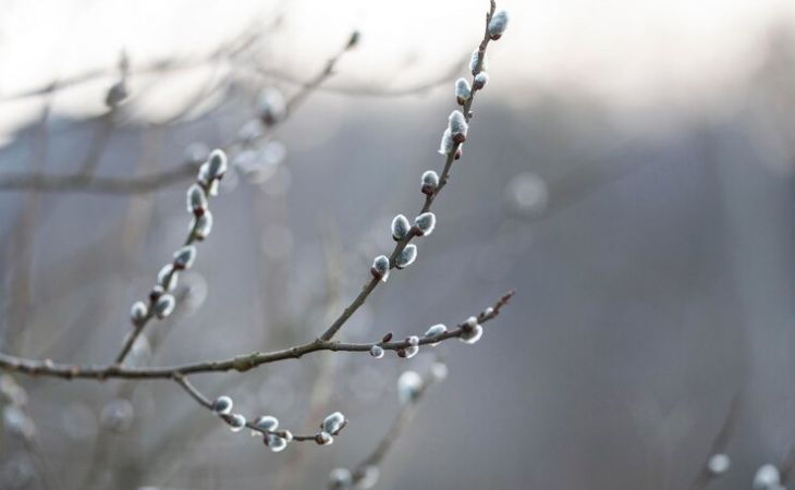 Фото:. freepik.com