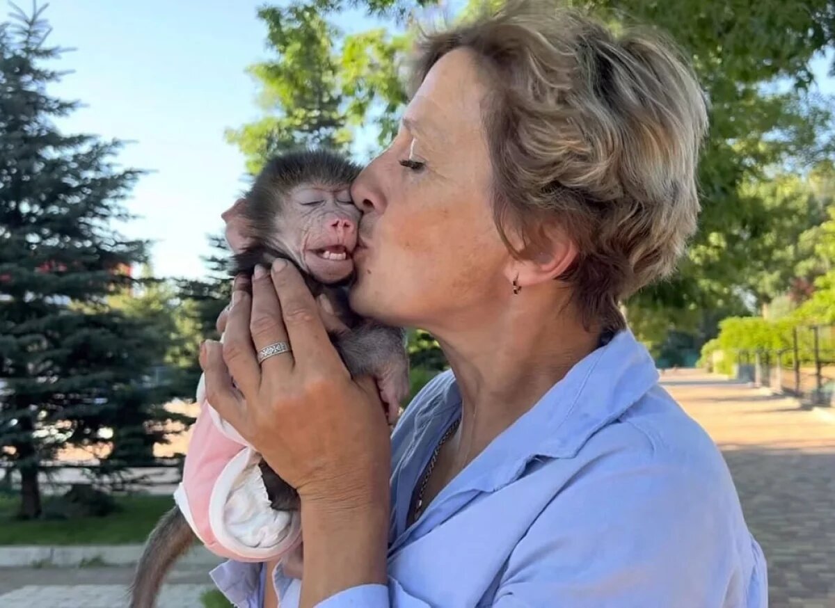    Гамадрила Люсю спасла Леокадия Перевалова.