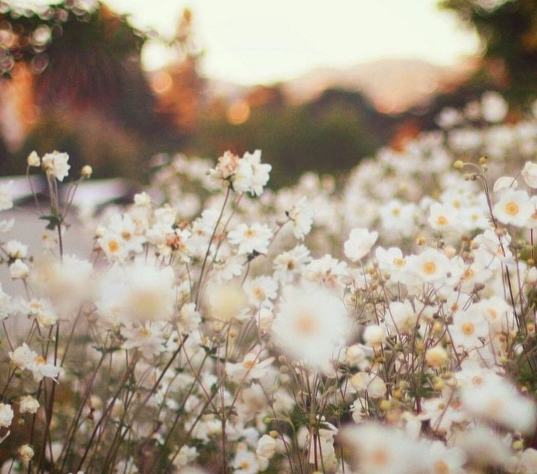 Изображение из интернета