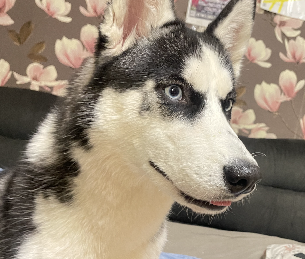 увидела любимые продукты : 🍅🥬🥚🍤 Пандо. (листай карусель)