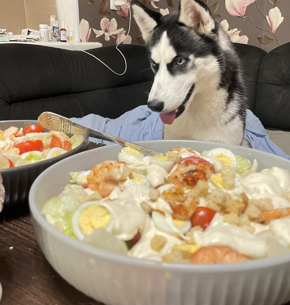 Любимый взгляд 😍 Раскрывать их грани - это волшебно. Наша Пандо.