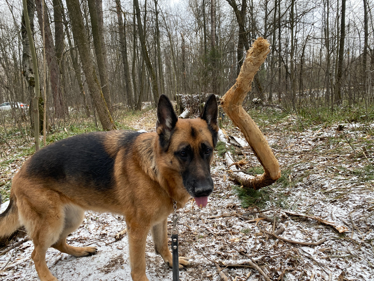 Фабрика по производству шерсти 😃