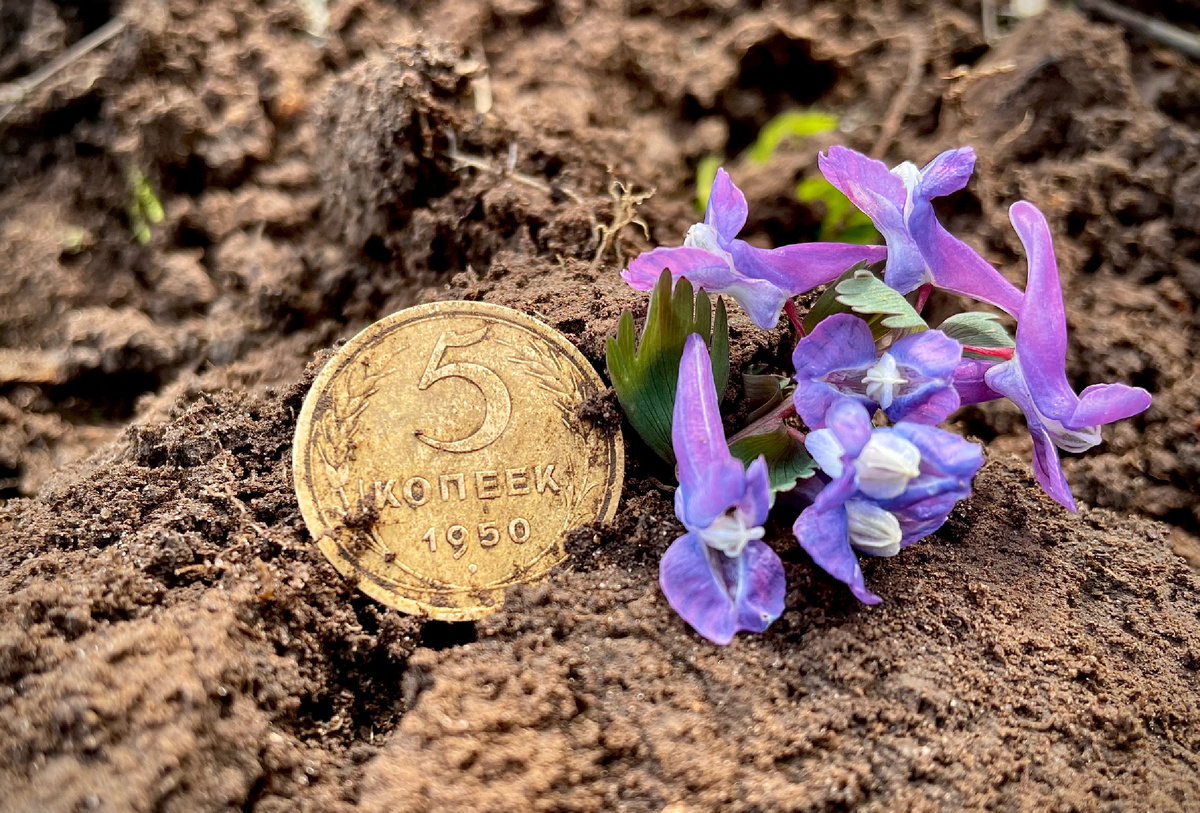 Монеты периода советского союза в обилии валяются не только по углам квартир, но и в з