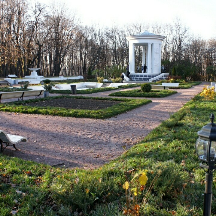 Фотография планетянки fox_haven