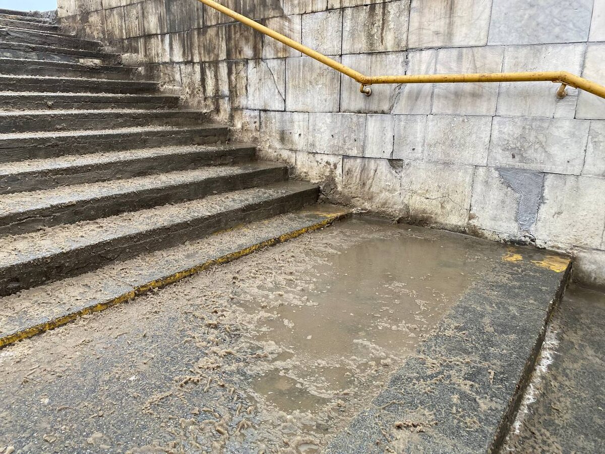    Фото: Тамара Башаева