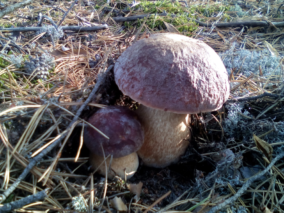 личные фото автора