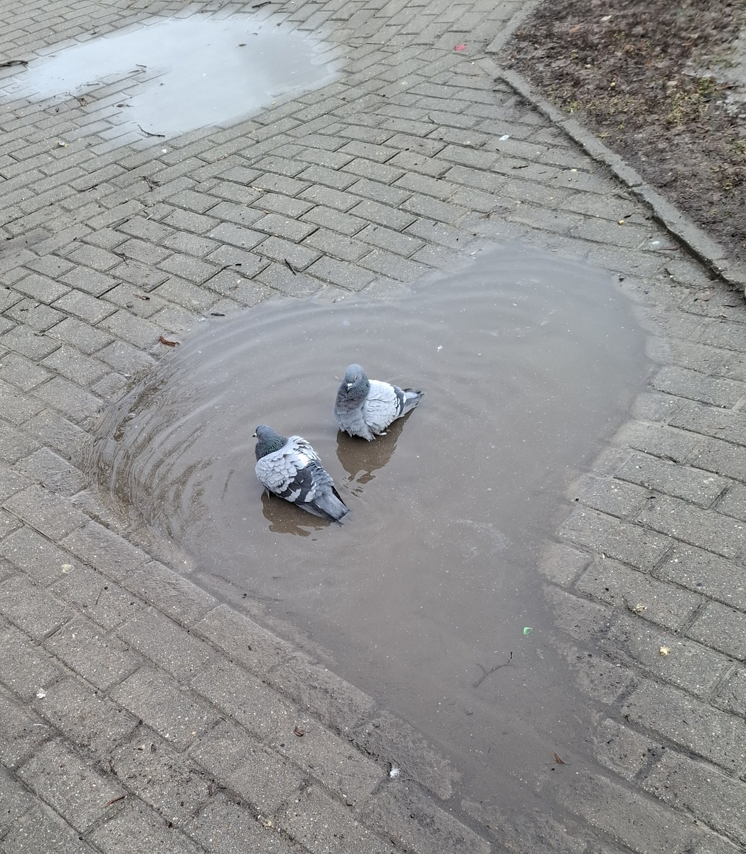 Фото автора.