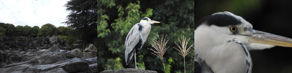 24мм-3000мм-цифровой зум