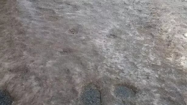     Автор: Читатель "Нашего города" Источник: nashgorod.ru