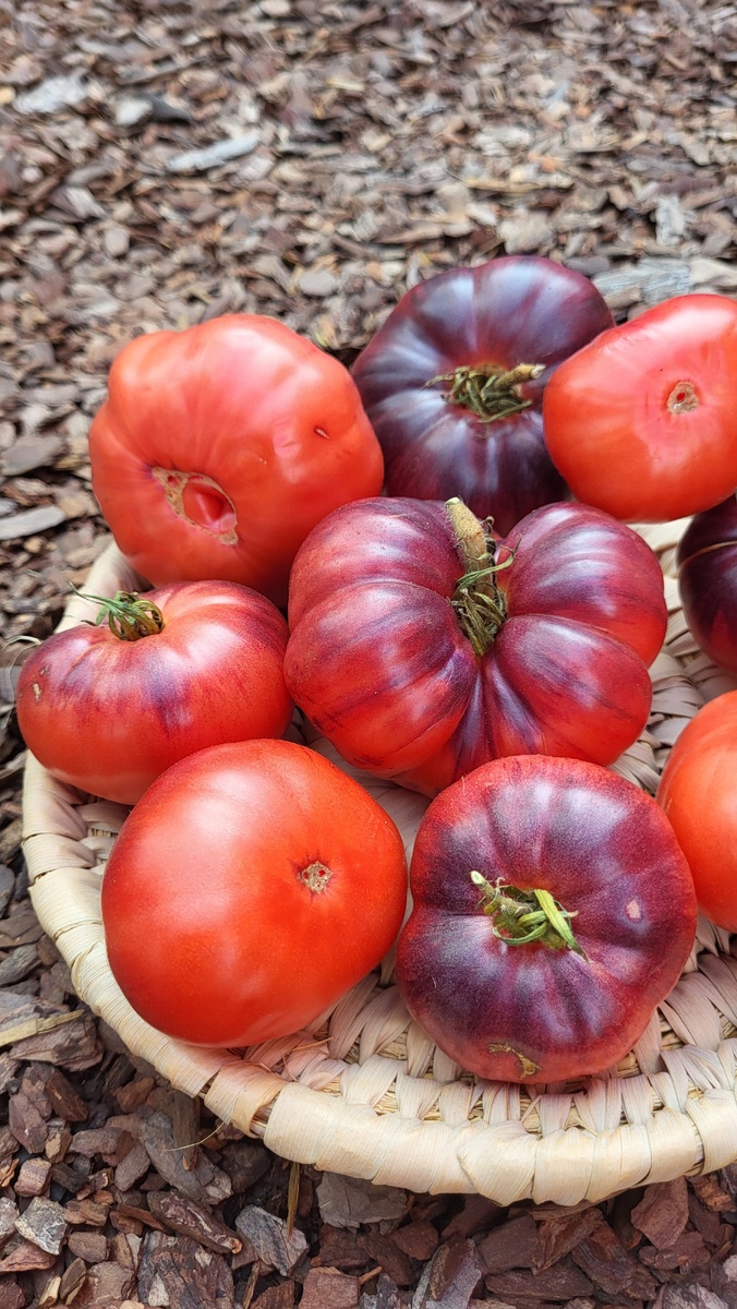 Галерея, листайте