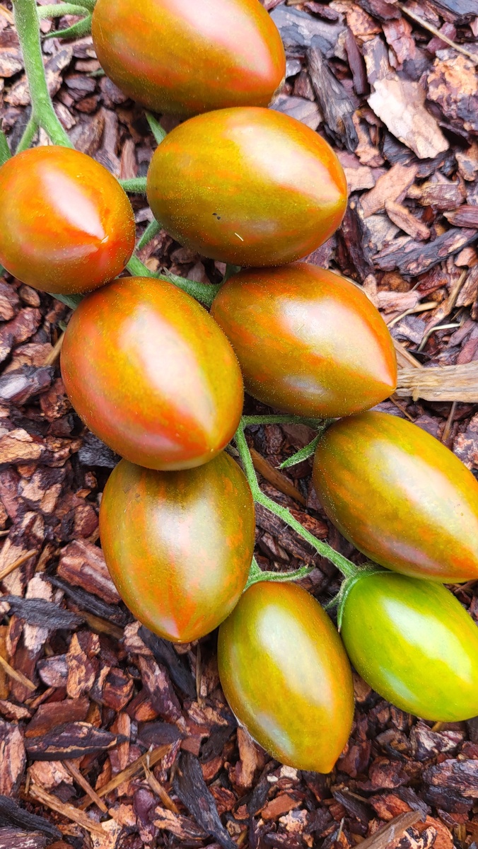 Галерея, листайте