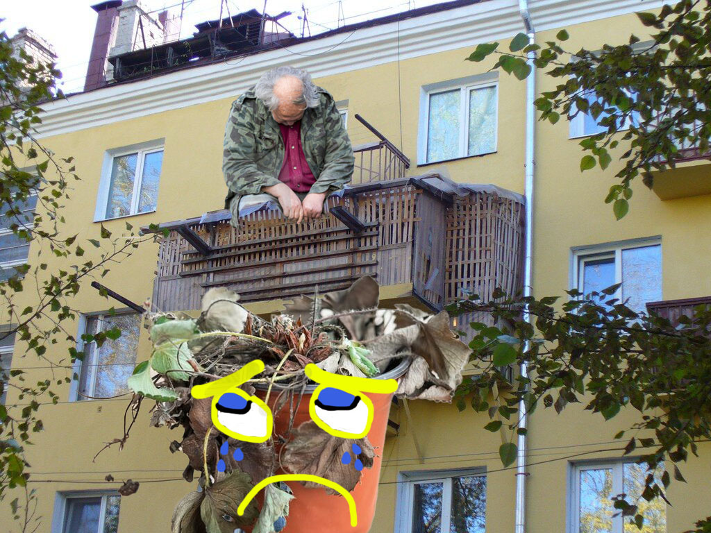 видать забыл про полив бедолага(