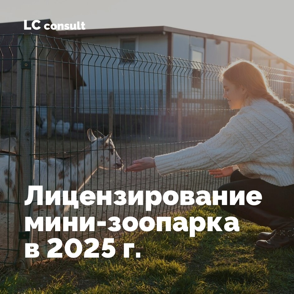 Источник: freepic.com